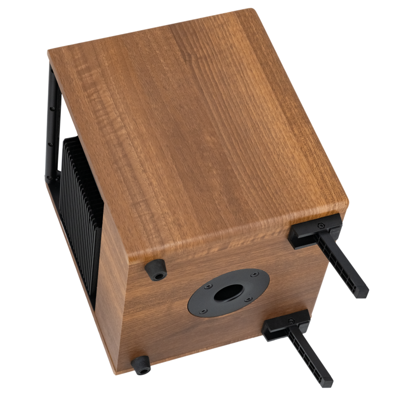 Prodipe Natural 5 V2 Walnut Wood Acoustic Amp