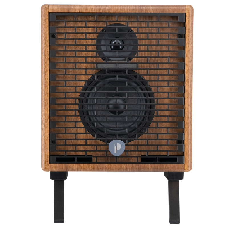 Prodipe Natural 5 V2 Walnut Wood Acoustic Amp