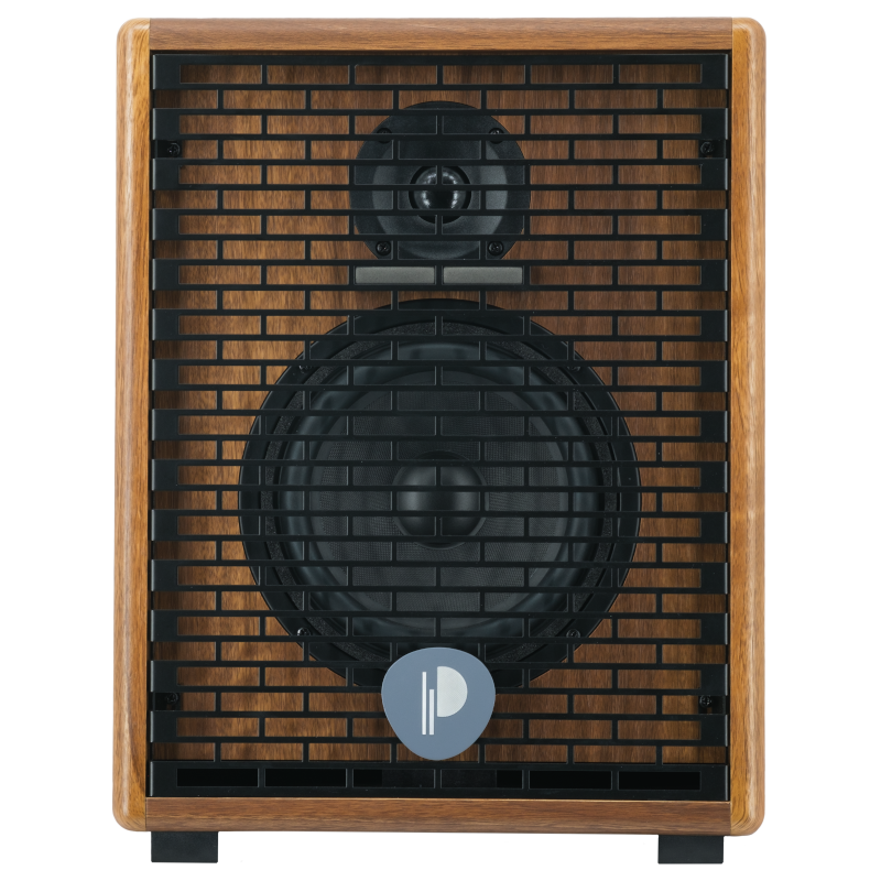 Prodipe Natural 6 V2 Walnut Wood Acoustic Amp