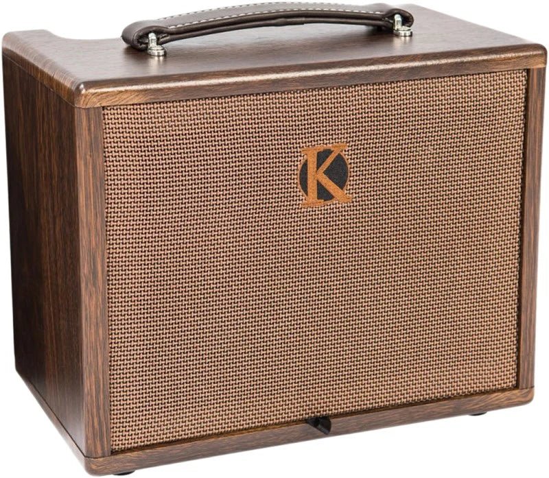 Battery Powered Amps - WM Guitars