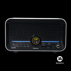 Mooer F15i Li Intelligent Amp Portable Stereo Modelling Amplifier