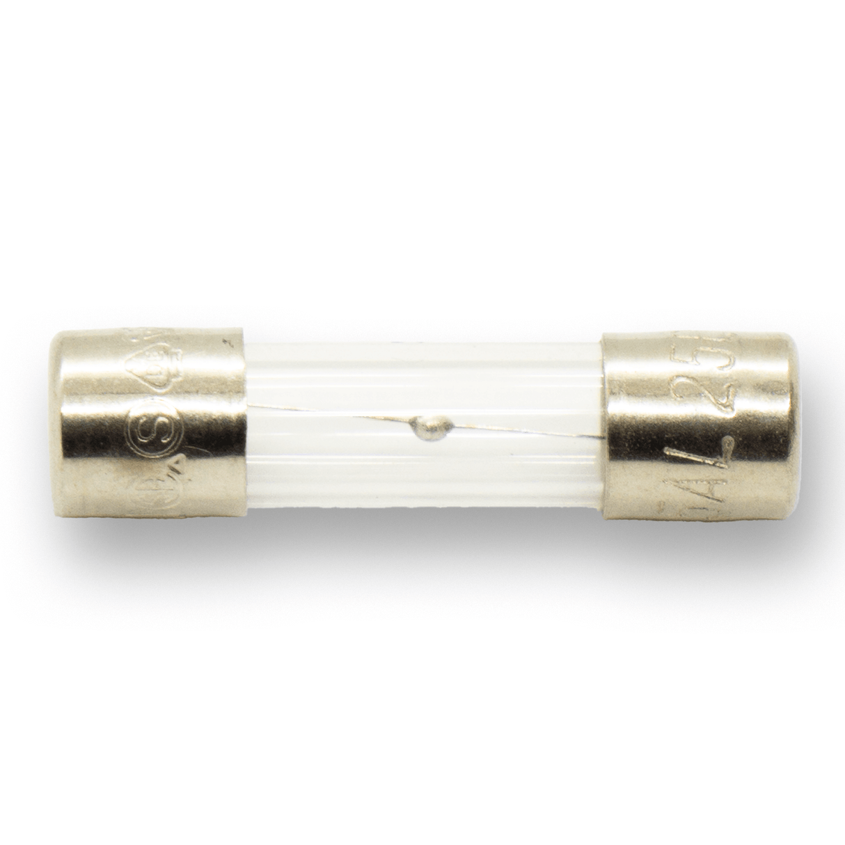 5mm x 20mm 100mA 250V Time Lag - Parts - WM Guitars