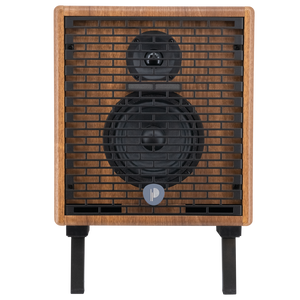 Prodipe Natural 5 V2 Walnut Wood Acoustic Amp