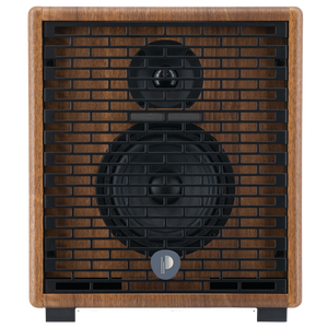 Prodipe Natural 5 V2 Walnut Wood Acoustic Amp