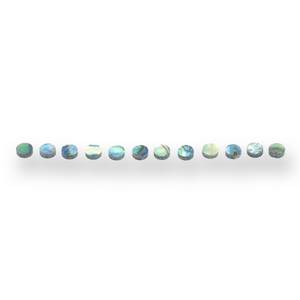 Abalone Dot Fretboard Inlays x12 (Various Sizes) - Parts - WM Guitars