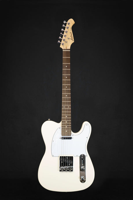 Aria Pro II TEG-002 Electric Guitar (Various Finishes) - Electric Guitars - Aria