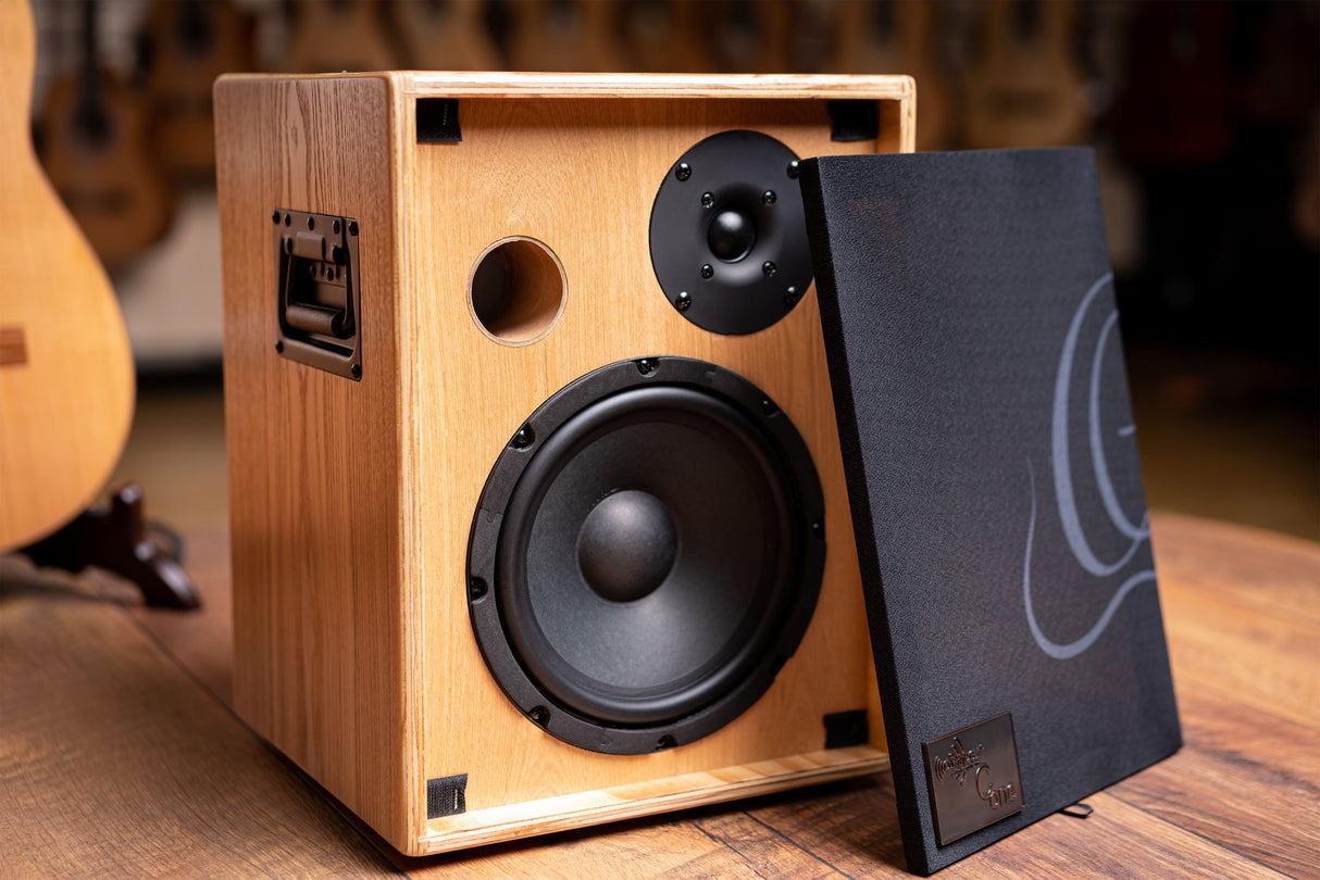 ORTEGA CONE ASH Acoustic Amplifier Combo