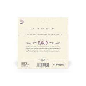 D'Addario Banjo 5 String Nickel Plated Steel Custom Medium - Banjo Strings - D'Addario
