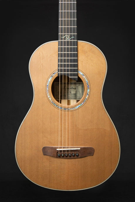 Dowina Cocobolo III BV Master Series Parlour Acoustic Guitar (Cedar & Cocobolo) - Acoustic Guitars - Dowina