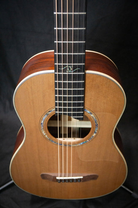 Dowina Cocobolo III BV Master Series Parlour Acoustic Guitar (Cedar & Cocobolo) - Acoustic Guitars - Dowina