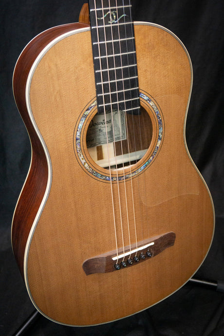 Dowina Cocobolo III BV Master Series Parlour Acoustic Guitar (Cedar & Cocobolo) - Acoustic Guitars - Dowina