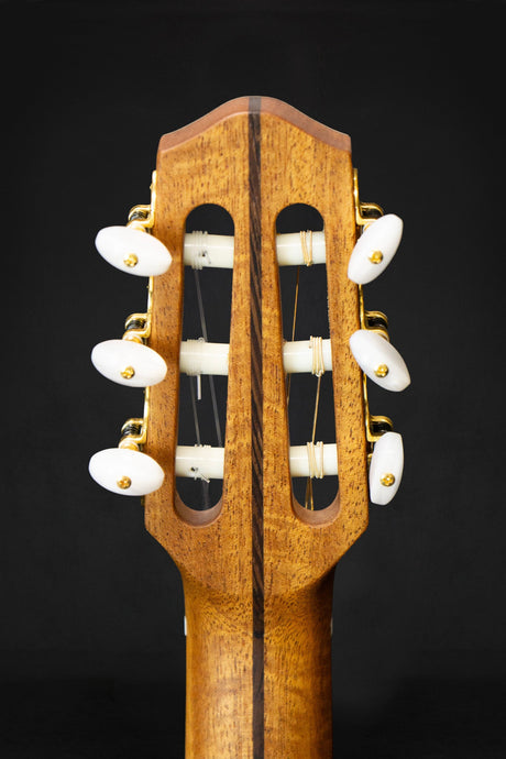 Dowina Cocobolo OM - H Master Series Hybrid Guitar (Cedar & Cocobolo) - Acoustic Guitars - Dowina