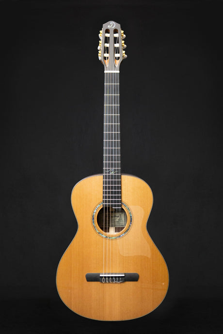 Dowina Cocobolo OM - H Master Series Hybrid Guitar (Cedar & Cocobolo) - Acoustic Guitars - Dowina