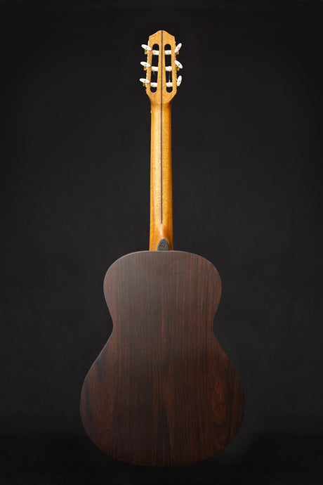 Dowina Cocobolo OM - H Master Series Hybrid Guitar (Cedar & Cocobolo) - Acoustic Guitars - Dowina