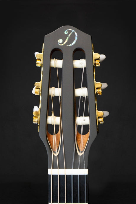 Dowina Cocobolo OM - H Master Series Hybrid Guitar (Cedar & Cocobolo) - Acoustic Guitars - Dowina