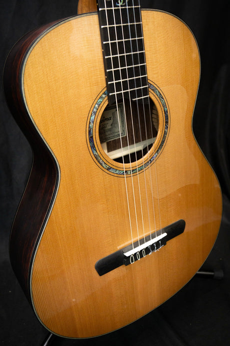 Dowina Cocobolo OM - H Master Series Hybrid Guitar (Cedar & Cocobolo) - Acoustic Guitars - Dowina