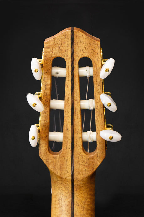 Dowina Granadillo OM - H Master Series Hybrid Guitar (Cedar & Granadillo) - Acoustic Guitars - Dowina