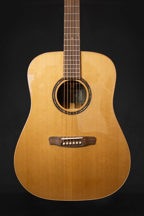 Dowina Granus D Antique Series Acoustic Guitar (Spruce & Pau Ferro) - Acoustic Guitars - Dowina