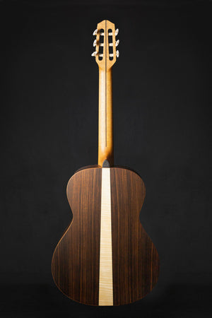 Dowina Master Series Amber Road Hybrid (OM body size) Western Red Cedar & Indian Rosewood - Acoustic Guitars - Dowina