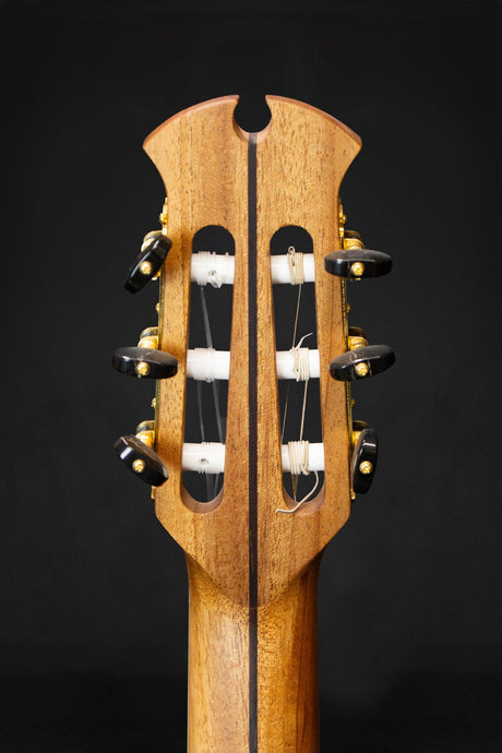 Dowina Padauk HC Master Series Hybrid Guitar (Thermo Cured Swiss Spruce & Padauk) - Acoustic Guitars - Dowina