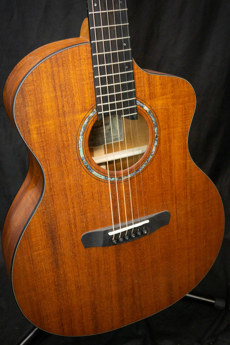 Dowina Tribute to Mahogany GAC Tribute Series Acoustic Guitar (All Mahogany) - Acoustic Guitars - Dowina
