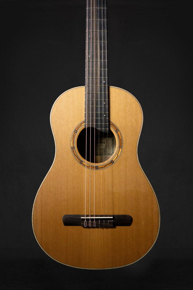 Dowina Vintage Series Chardonnay Bona Vida Hybrid (Cedar & Walnut) - Classical Guitars - Dowina