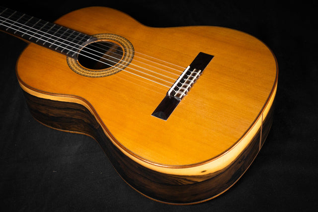 Esteve 3Z Handmade Classical Guitar - Classical Guitars - Esteve