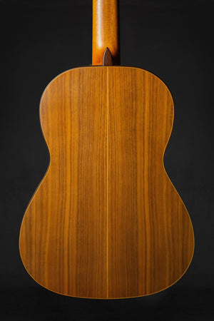 Esteve 5 Handmade Classical Guitar - Classical Guitars - Esteve