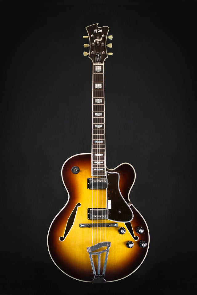 FGN Masterfield MFA-HH Archtop Guitar (Made in Fujigen) - Semi-Hollow - FGN