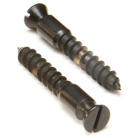 Floyd Rose Pivot Screw (Black) - Parts - Floyd Rose