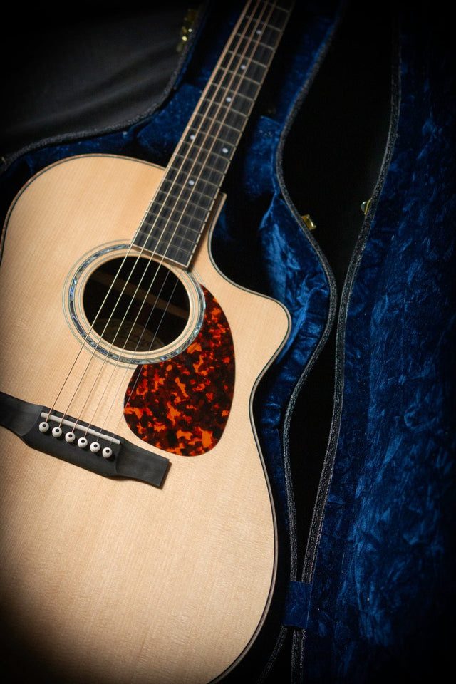 Larrivée LV-09 Artist Series Acoustic Guitar - Acoustic Guitars - Larrivee