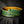 Leathergraft Dm Standard (Various Colours) - Straps - Leathergraft