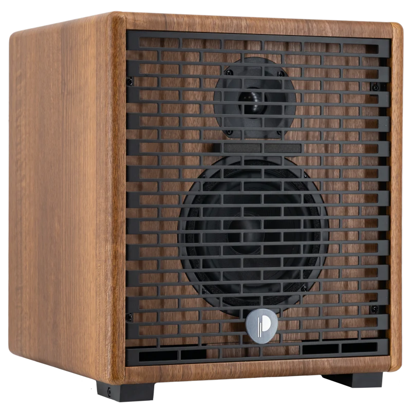 Prodipe Natural 5 V2 Walnut Wood Acoustic Amp