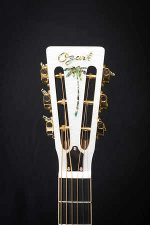 Ozark De Luxe Resonator Guitar 12 Fret Nickel Plate Steel - Ozark