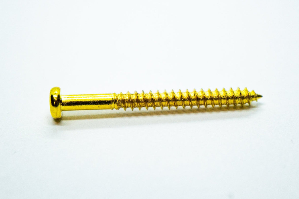 Pickup Screws & Springs (Gold) x 2 - WM Guitars