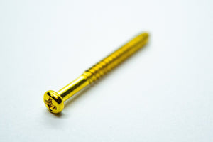 Pickup Screws & Springs (Gold) x 2 - WM Guitars