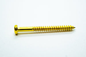 Pickup Screws & Springs (Gold) x 4 - Parts - WM Guitars