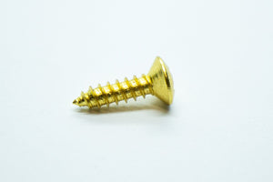 Scratchplate Screws x 1 - Various Colours Available - WM Guitars