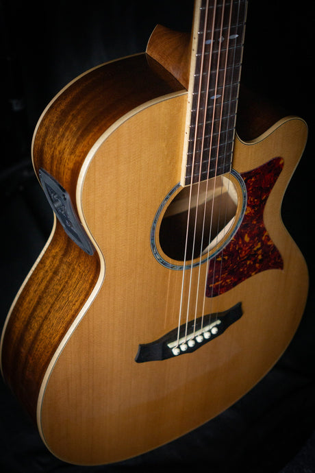 Tanglewood TW45 RE Sundance Reserve Acoustic Guitar - Acoustic Guitars - Tanglewood