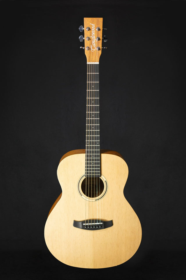 Tanglewood TWR2 MINI E - Acoustic Guitars - Tanglewood