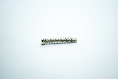 Threaded Pickup Screws & Springs (Nickel) x 2 - Parts - WM Guitars