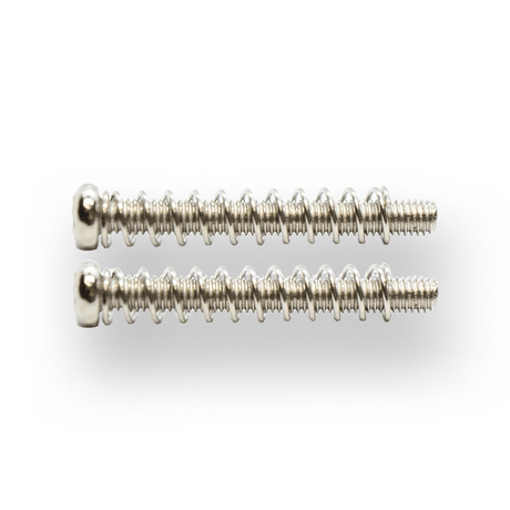 Threaded Pickup Screws & Springs (Nickel) x 2 - Parts - WM Guitars